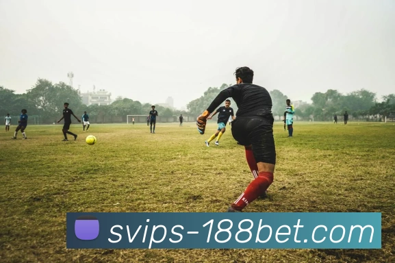 188bet体育官网发展历程